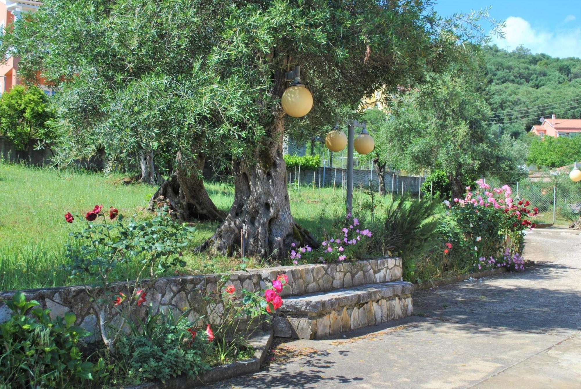 Lefkothea Apartments Kassiopi Zewnętrze zdjęcie