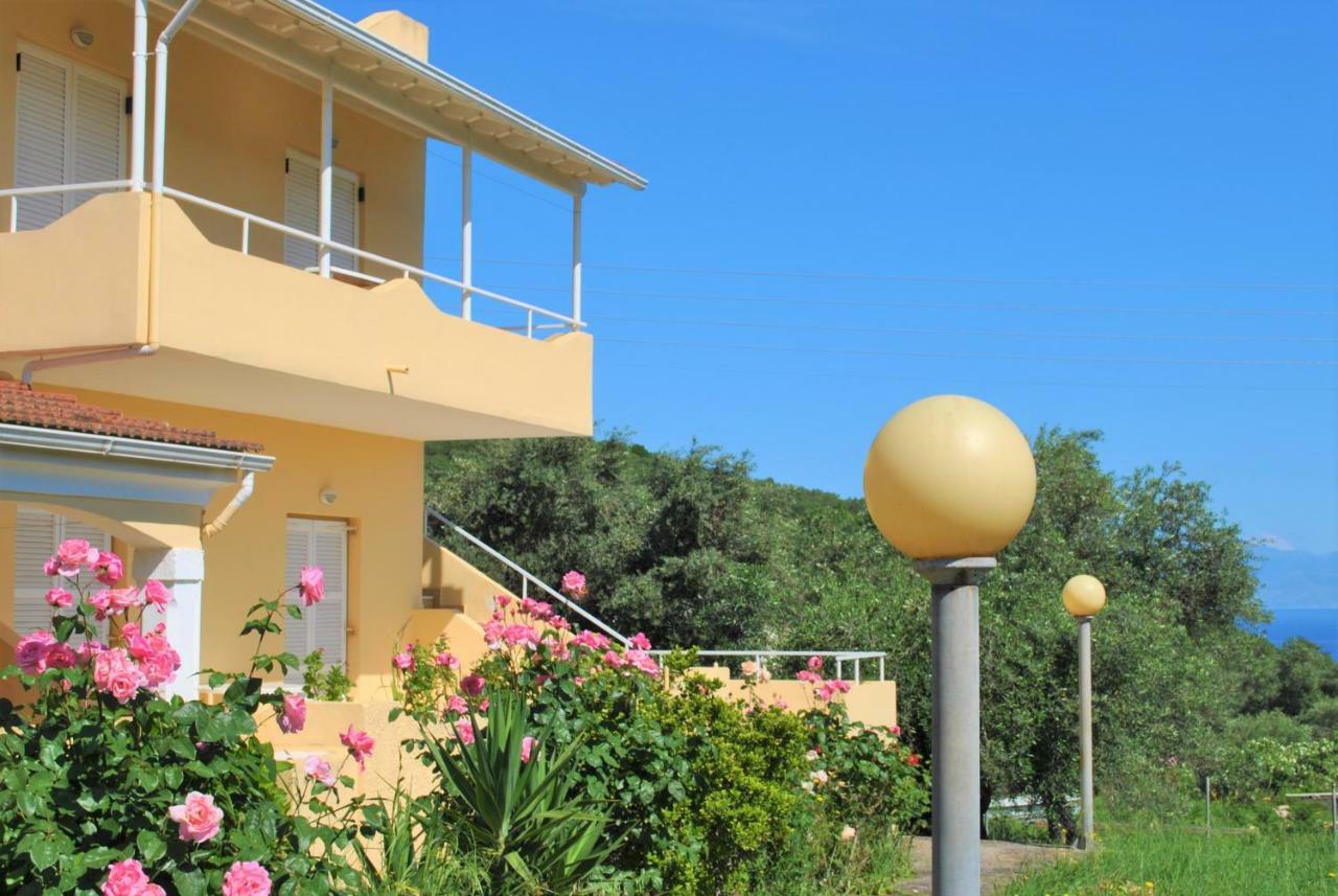 Lefkothea Apartments Kassiopi Zewnętrze zdjęcie